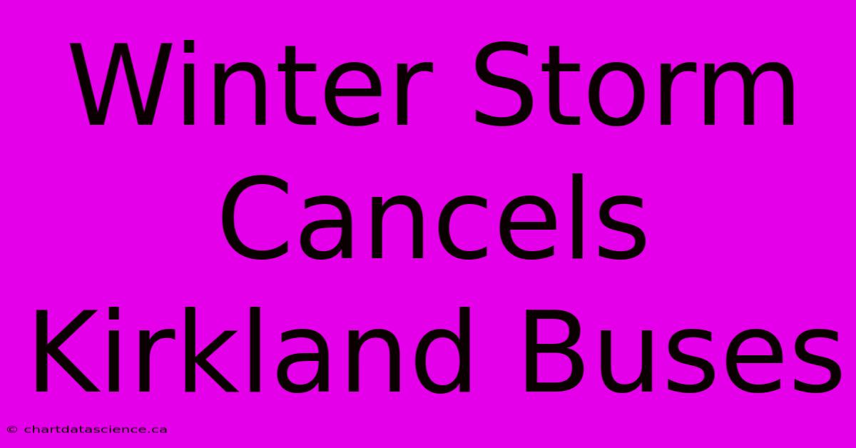 Winter Storm Cancels Kirkland Buses