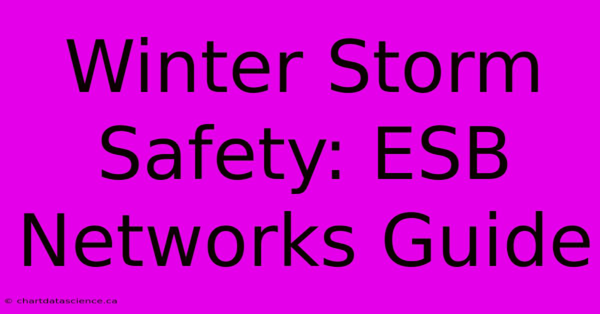 Winter Storm Safety: ESB Networks Guide