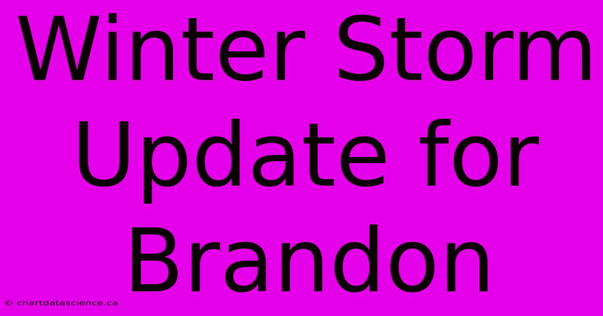 Winter Storm Update For Brandon