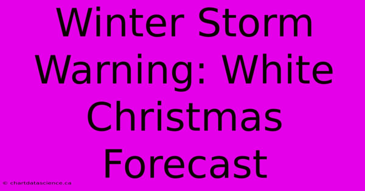 Winter Storm Warning: White Christmas Forecast