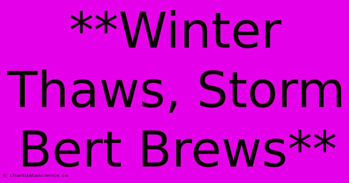 **Winter Thaws, Storm Bert Brews**