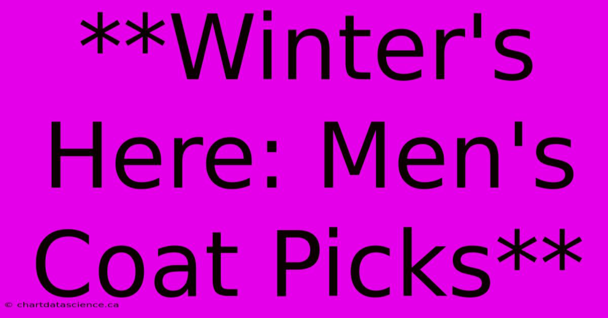 **Winter's Here: Men's Coat Picks**