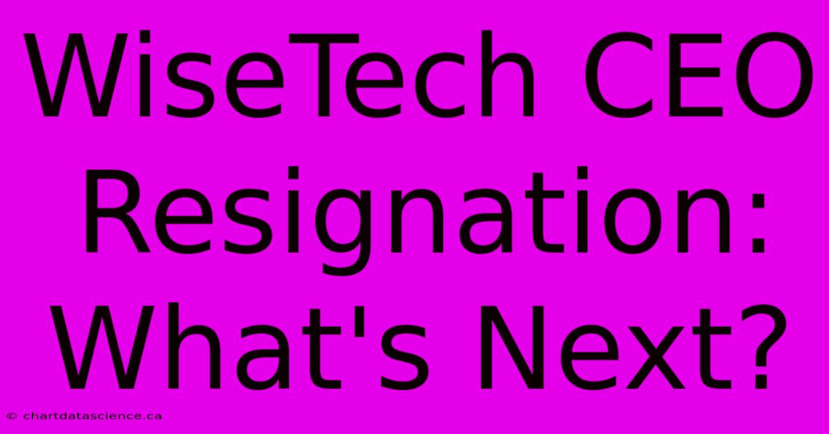 WiseTech CEO Resignation: What's Next?