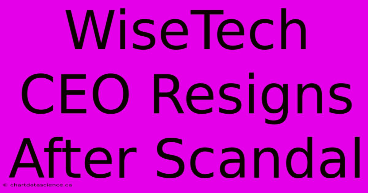 WiseTech CEO Resigns After Scandal