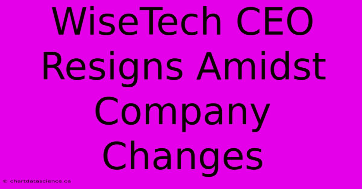 WiseTech CEO Resigns Amidst Company Changes