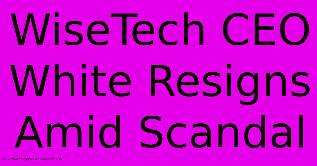 WiseTech CEO White Resigns Amid Scandal