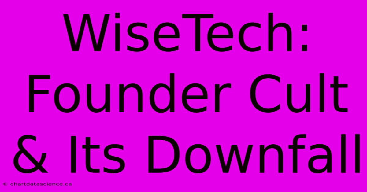 WiseTech: Founder Cult & Its Downfall