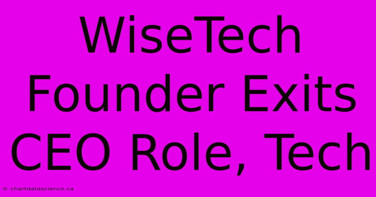 WiseTech Founder Exits CEO Role, Tech