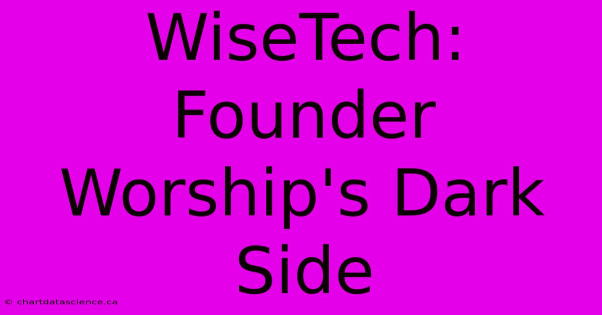 WiseTech: Founder Worship's Dark Side 