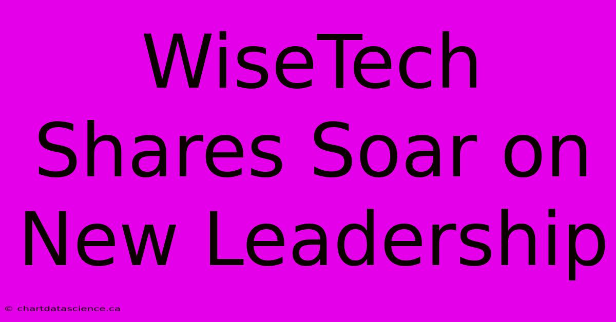 WiseTech Shares Soar On New Leadership