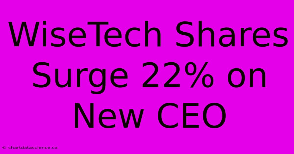 WiseTech Shares Surge 22% On New CEO