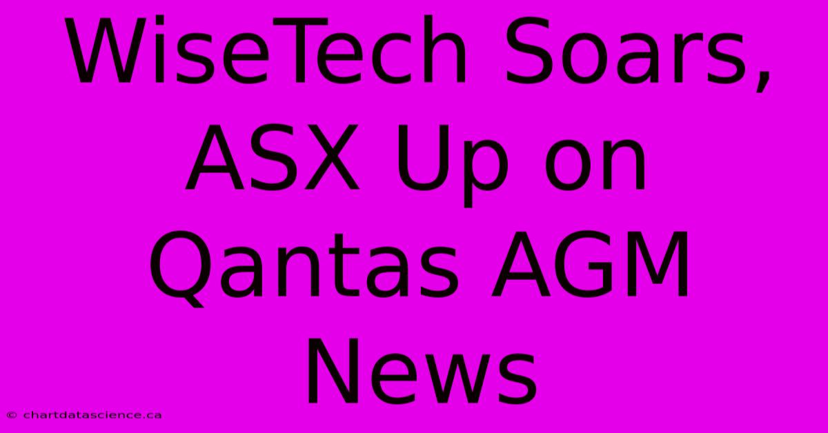 WiseTech Soars, ASX Up On Qantas AGM News 