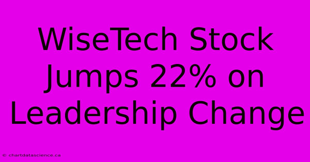 WiseTech Stock Jumps 22% On Leadership Change