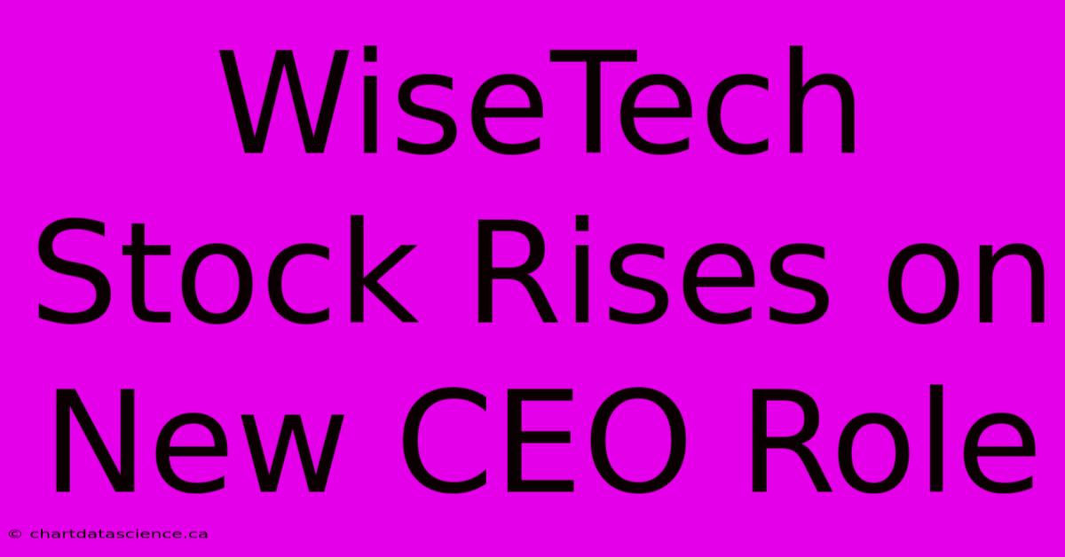 WiseTech Stock Rises On New CEO Role 