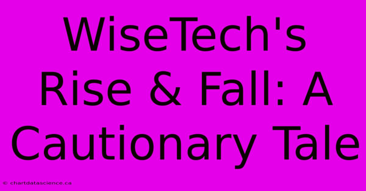 WiseTech's Rise & Fall: A Cautionary Tale