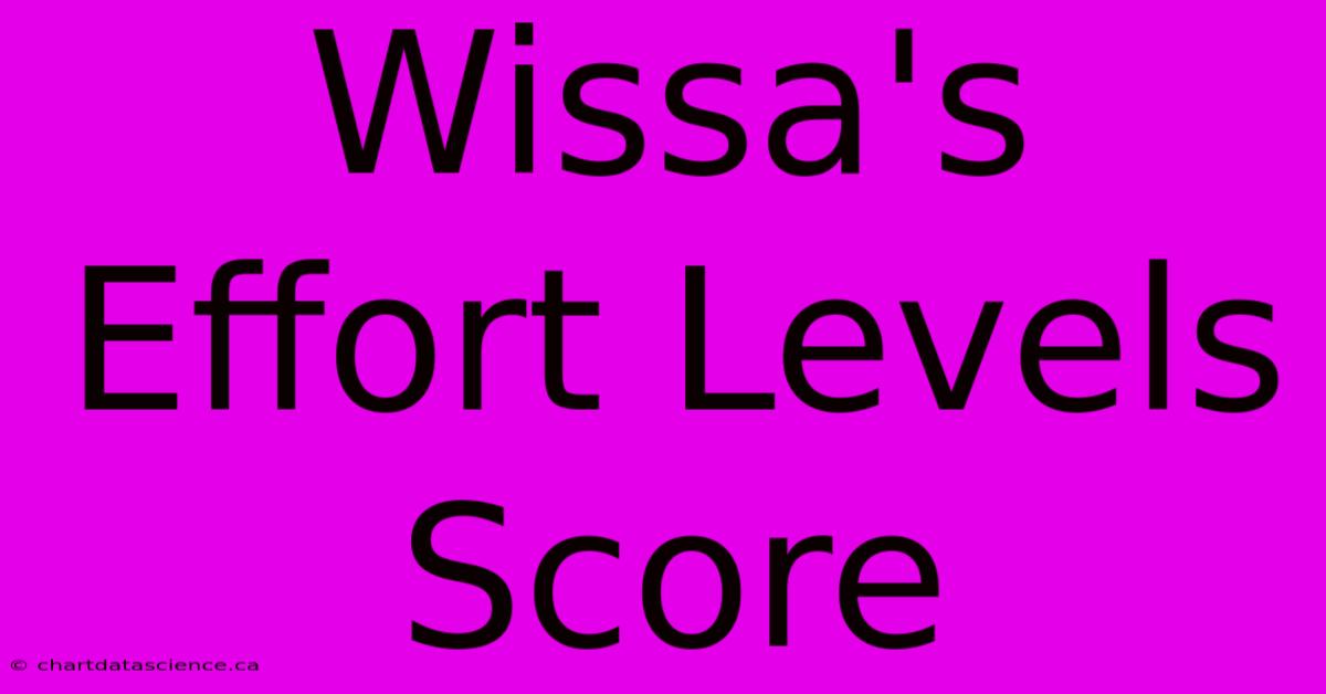 Wissa's Effort Levels Score