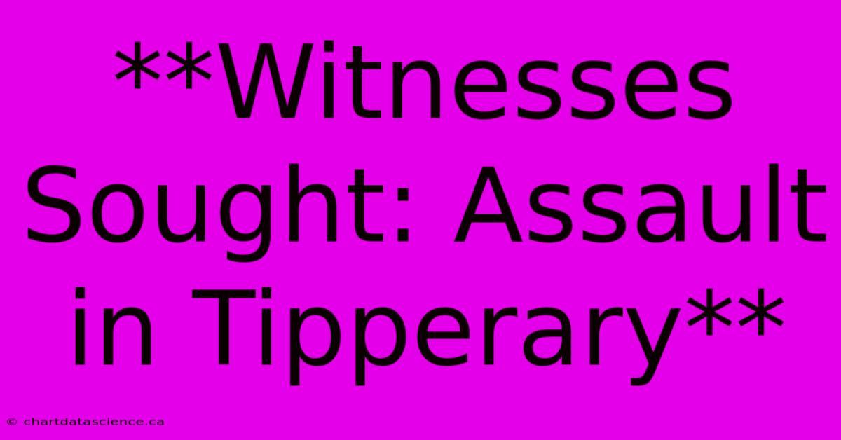 **Witnesses Sought: Assault In Tipperary**