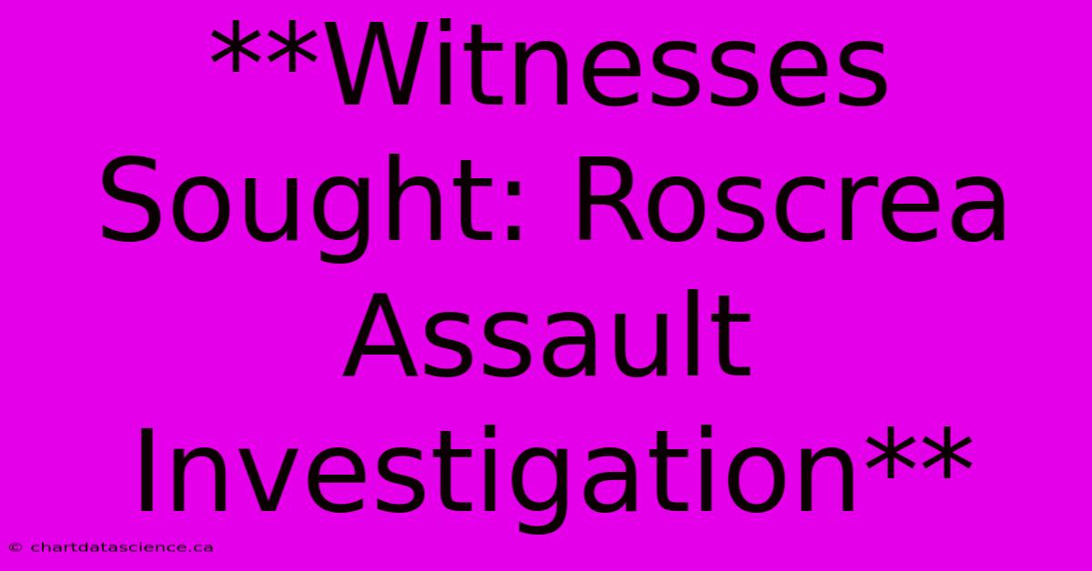 **Witnesses Sought: Roscrea Assault Investigation** 