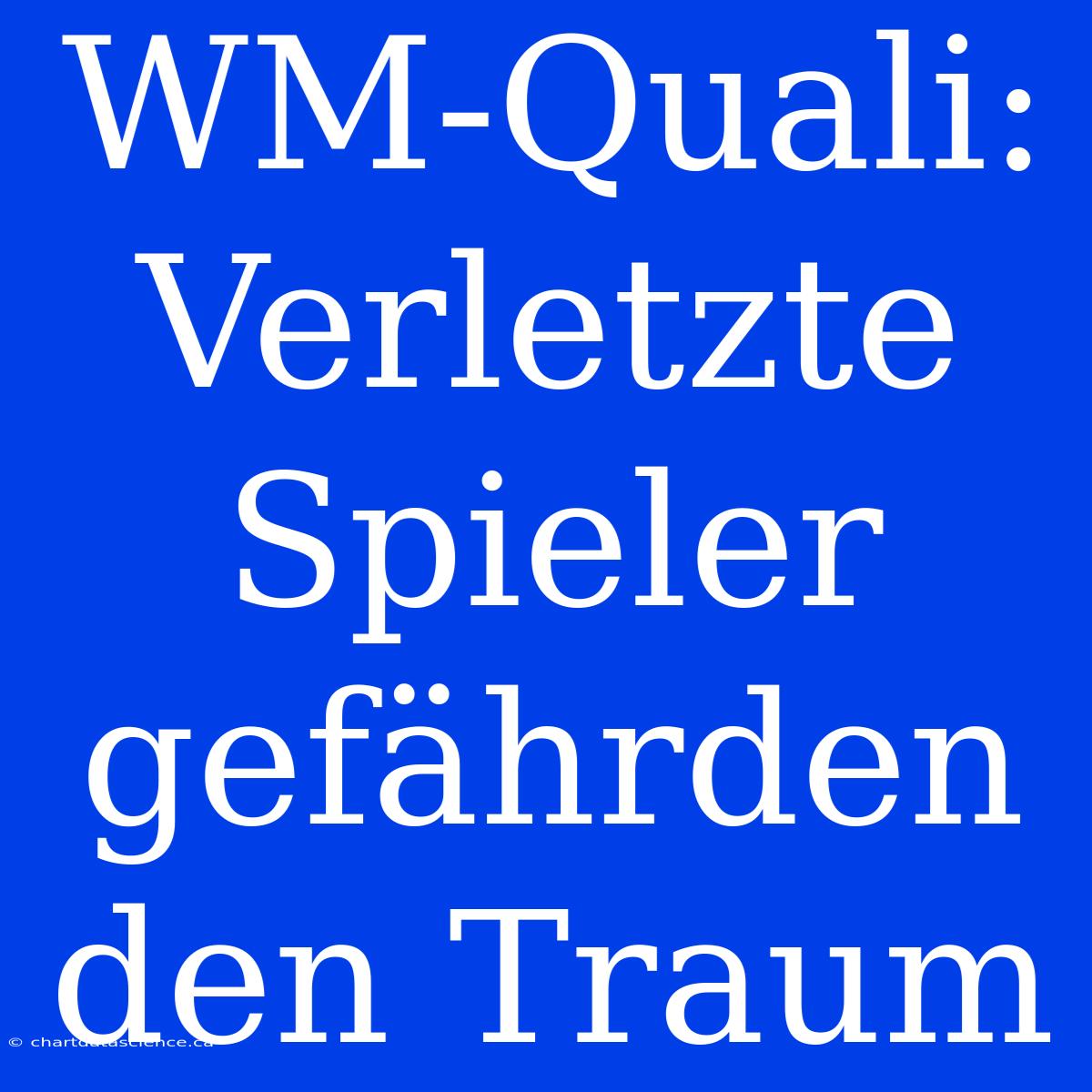 WM-Quali: Verletzte Spieler Gefährden Den Traum