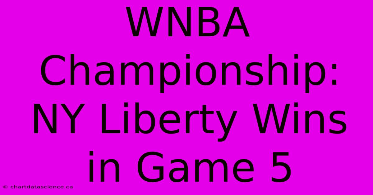 WNBA Championship: NY Liberty Wins In Game 5 