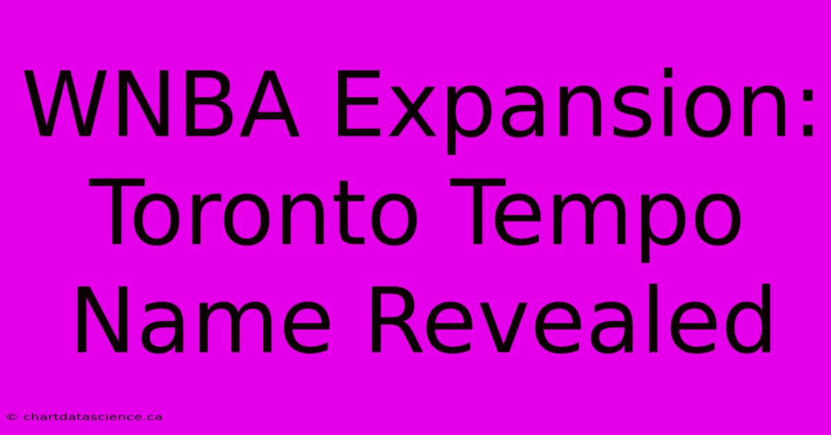 WNBA Expansion: Toronto Tempo Name Revealed