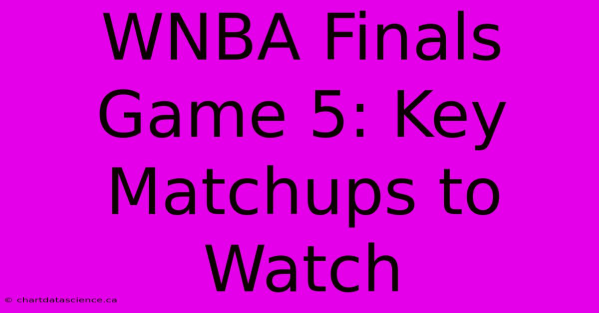 WNBA Finals Game 5: Key Matchups To Watch