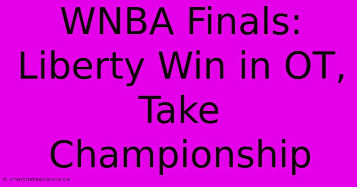 WNBA Finals: Liberty Win In OT, Take Championship