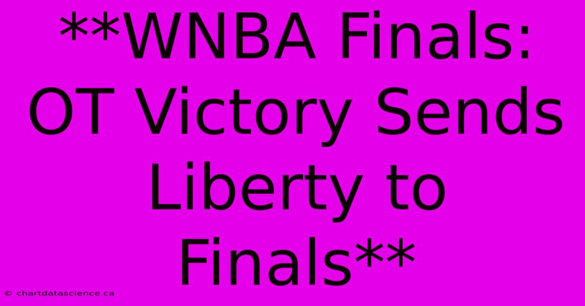 **WNBA Finals: OT Victory Sends Liberty To Finals** 