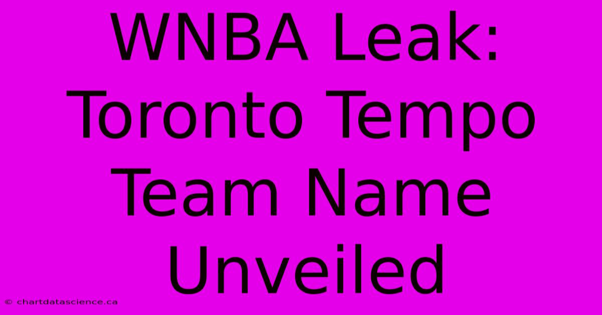 WNBA Leak: Toronto Tempo Team Name Unveiled