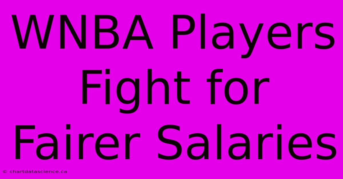 WNBA Players Fight For Fairer Salaries