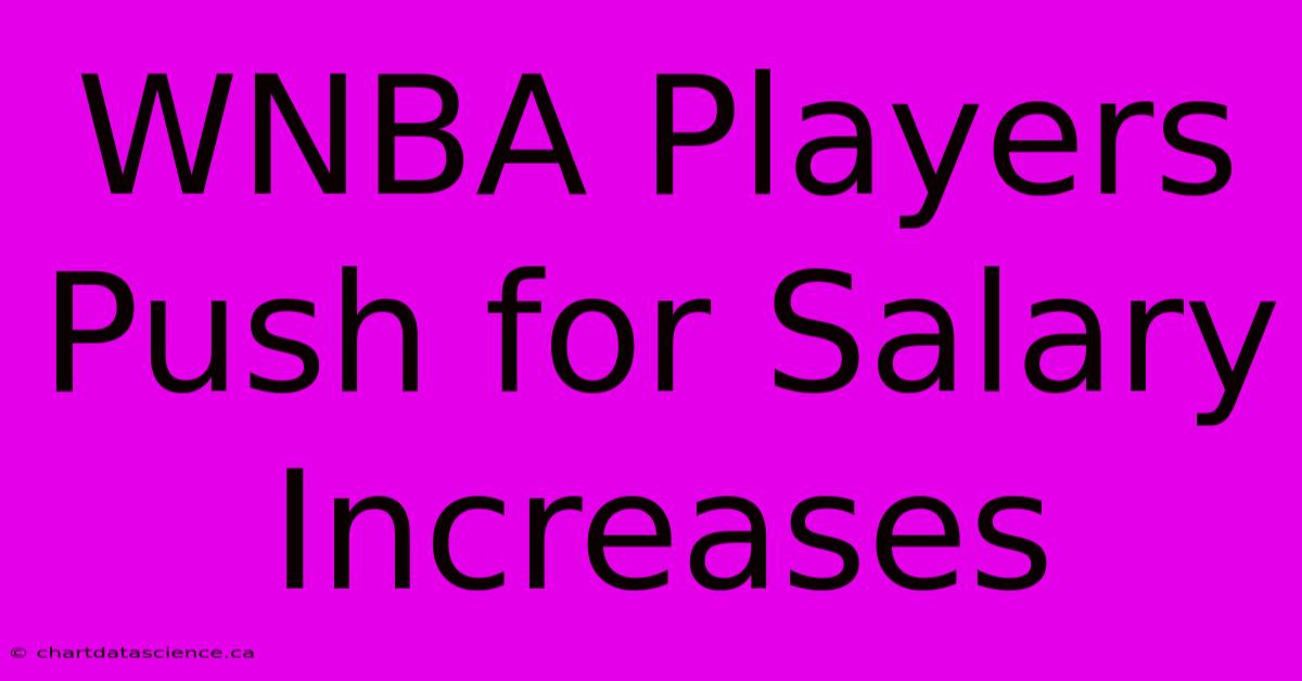 WNBA Players Push For Salary Increases