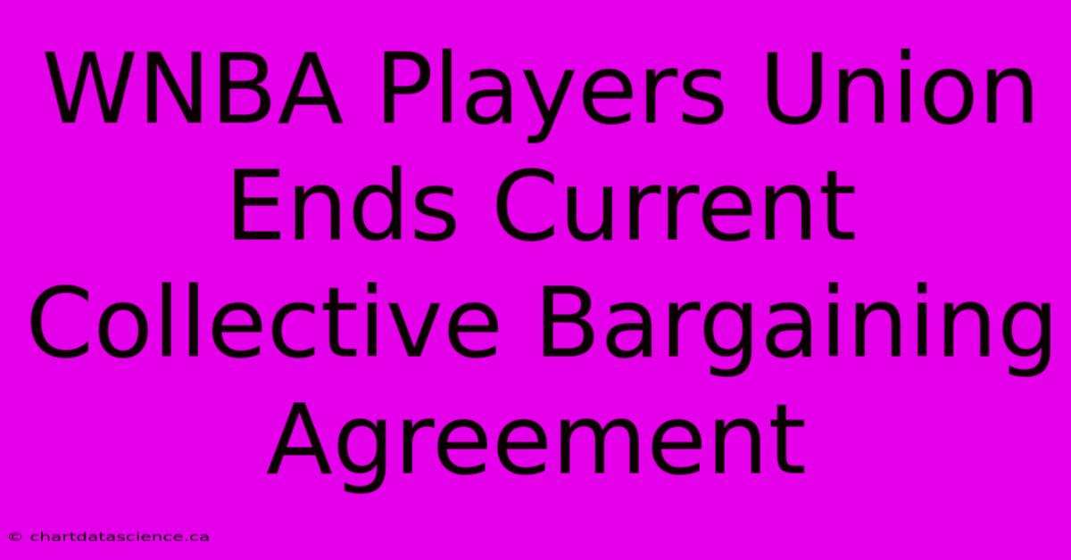 WNBA Players Union Ends Current Collective Bargaining Agreement