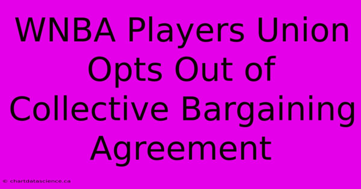 WNBA Players Union Opts Out Of Collective Bargaining Agreement 