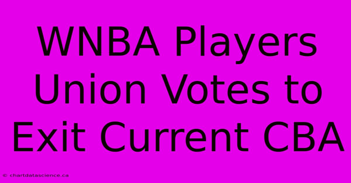 WNBA Players Union Votes To Exit Current CBA