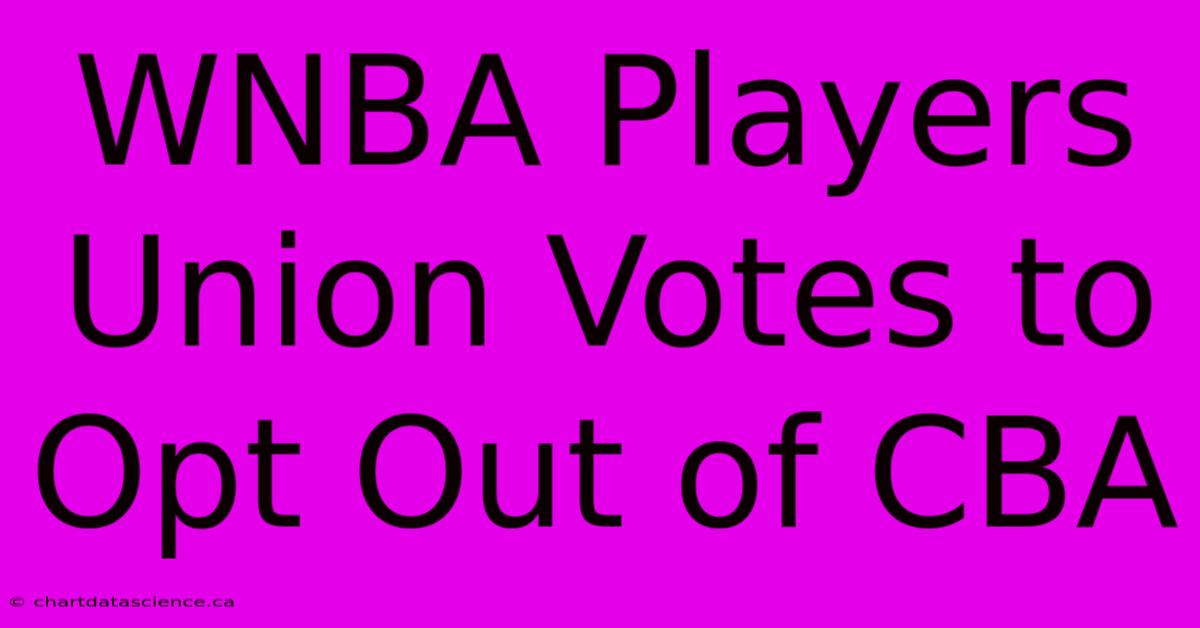 WNBA Players Union Votes To Opt Out Of CBA