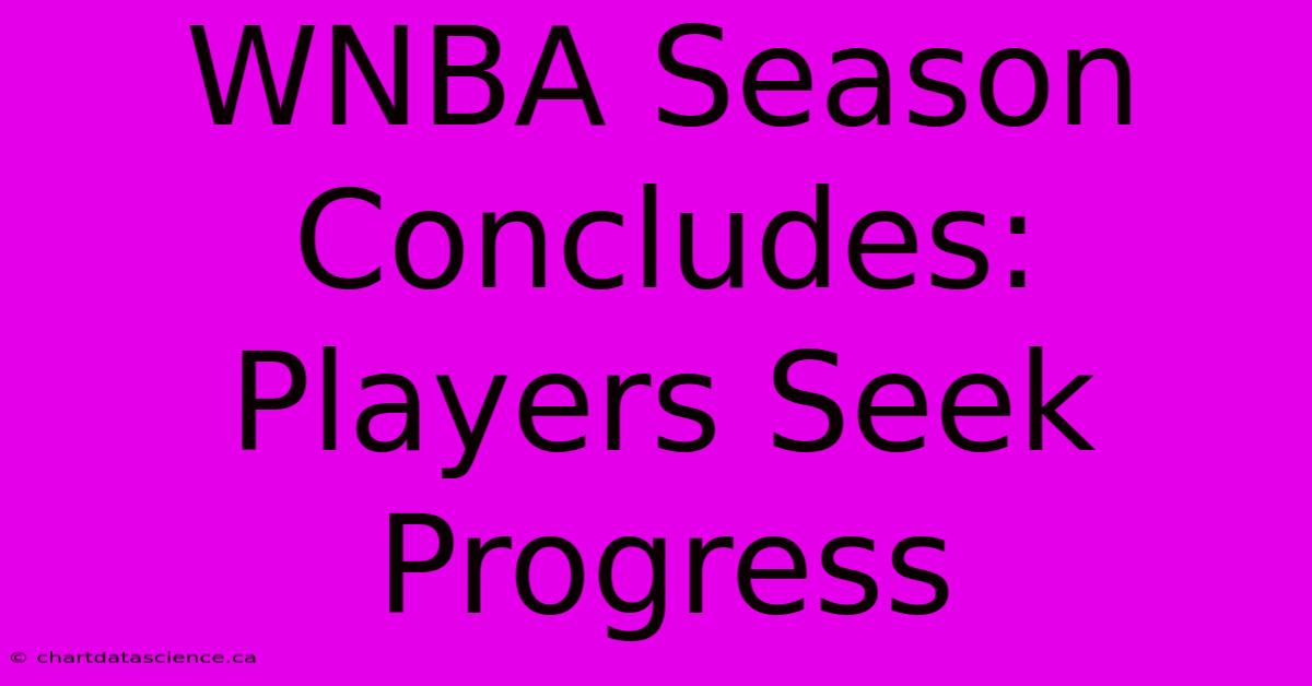 WNBA Season Concludes: Players Seek Progress