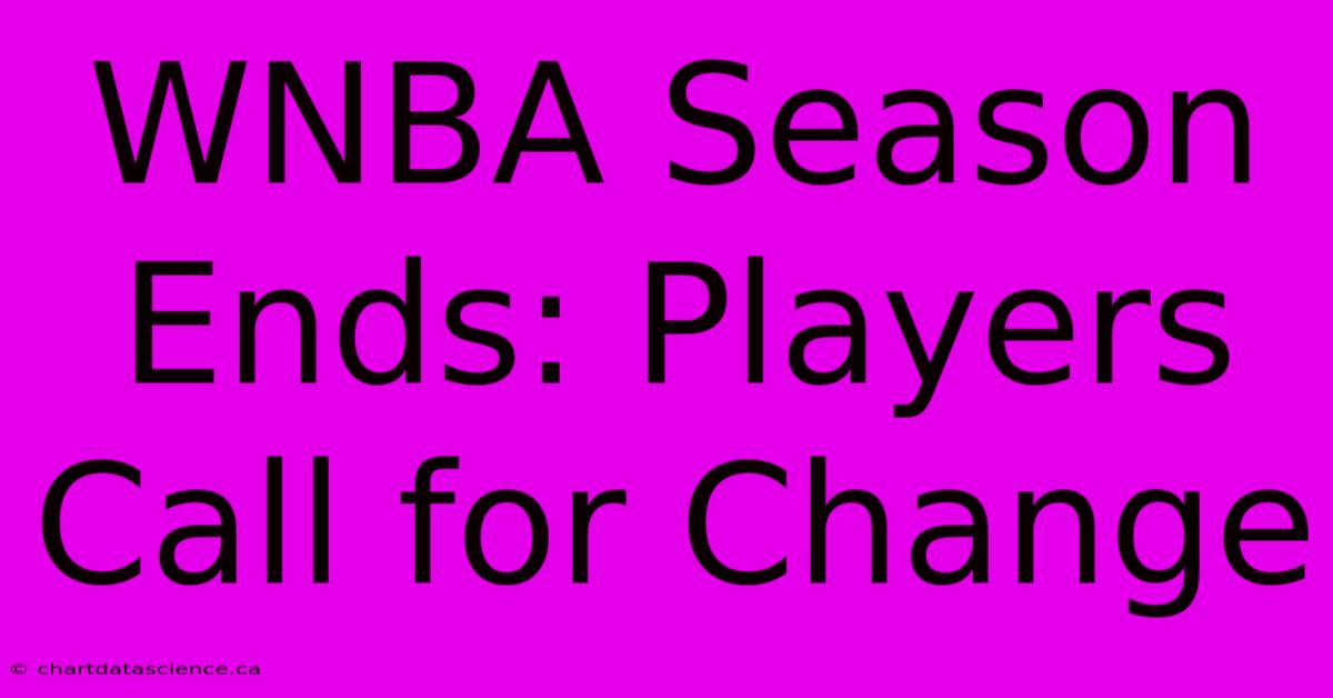 WNBA Season Ends: Players Call For Change