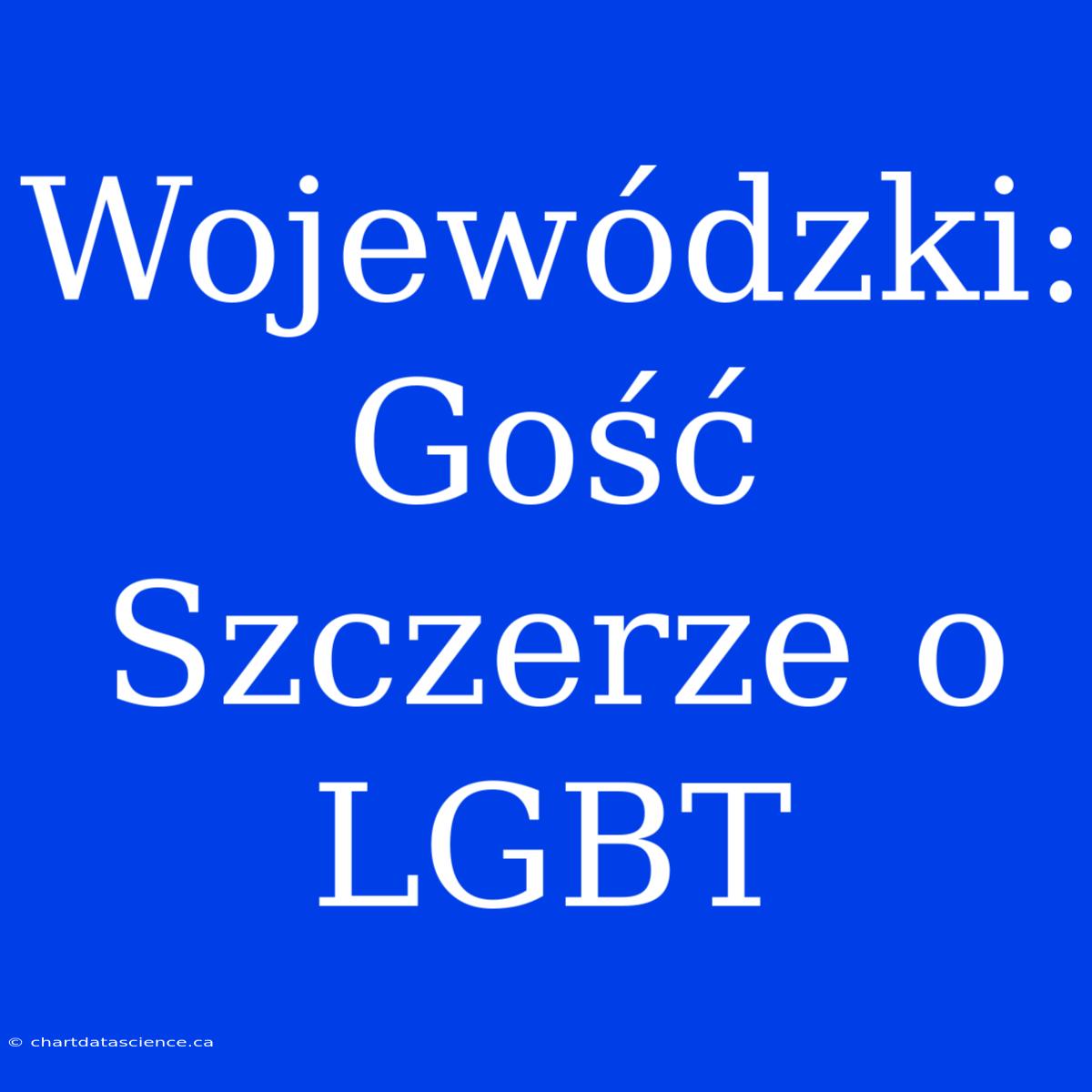 Wojewódzki: Gość Szczerze O LGBT