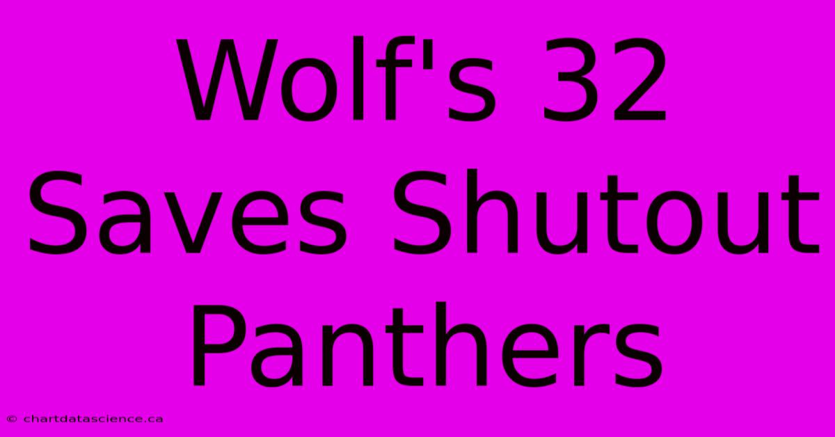 Wolf's 32 Saves Shutout Panthers