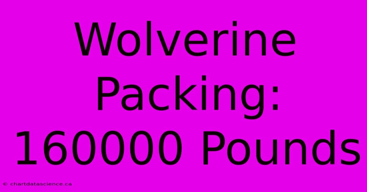 Wolverine Packing: 160000 Pounds