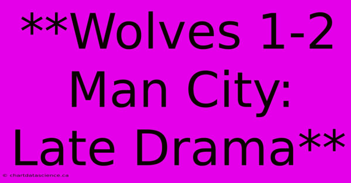 **Wolves 1-2 Man City: Late Drama**