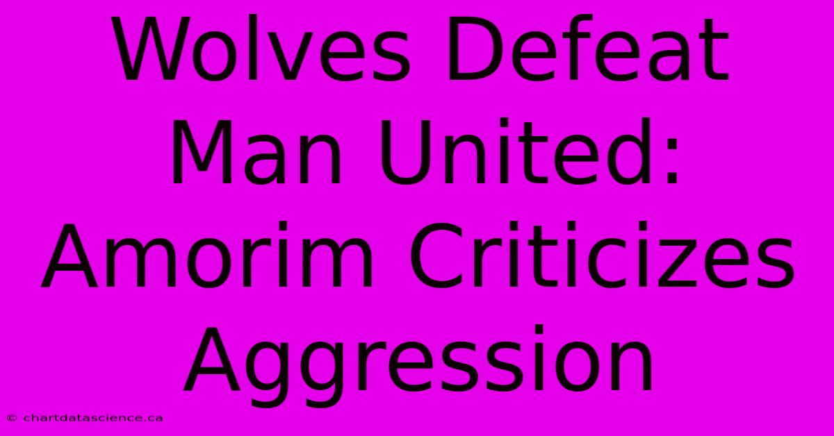 Wolves Defeat Man United: Amorim Criticizes Aggression