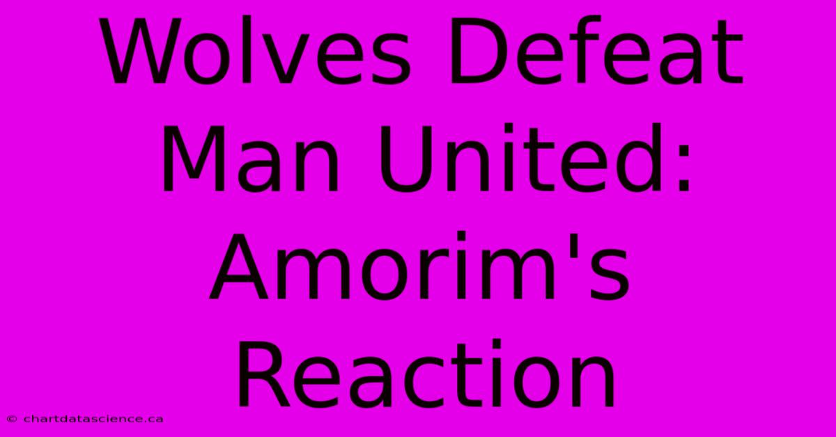 Wolves Defeat Man United: Amorim's Reaction