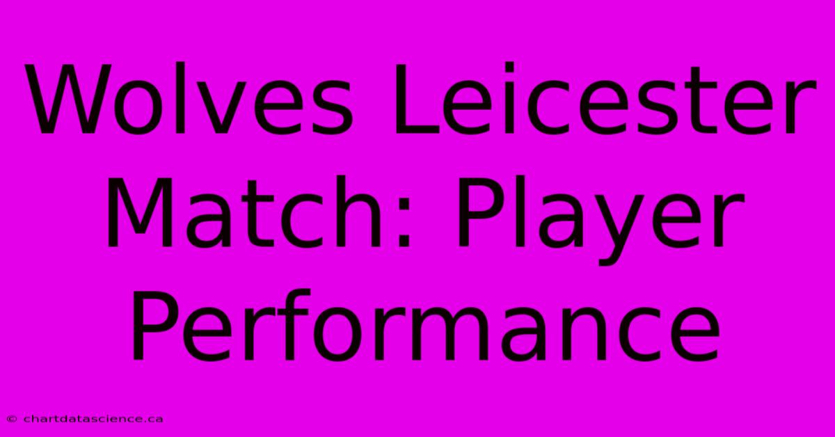 Wolves Leicester Match: Player Performance