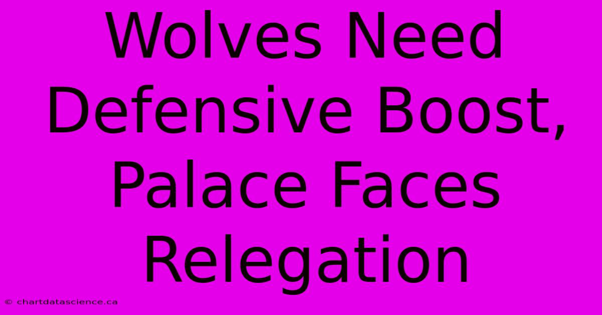 Wolves Need Defensive Boost, Palace Faces Relegation 