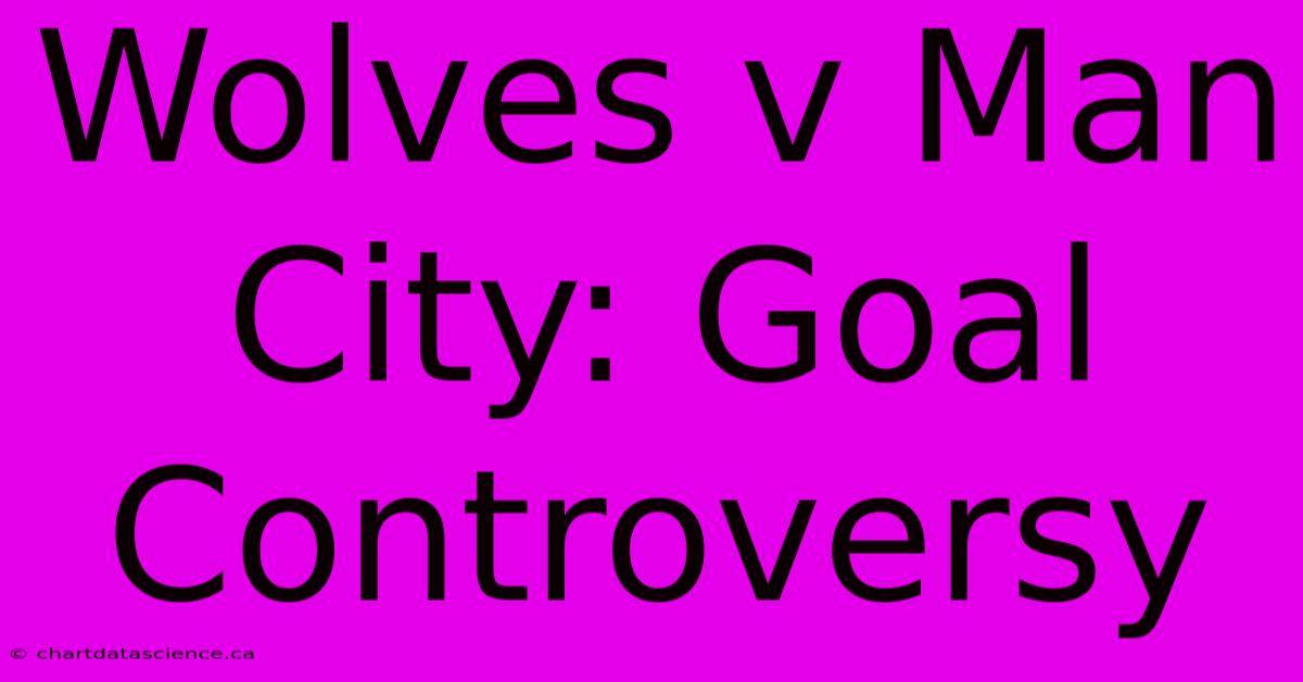 Wolves V Man City: Goal Controversy