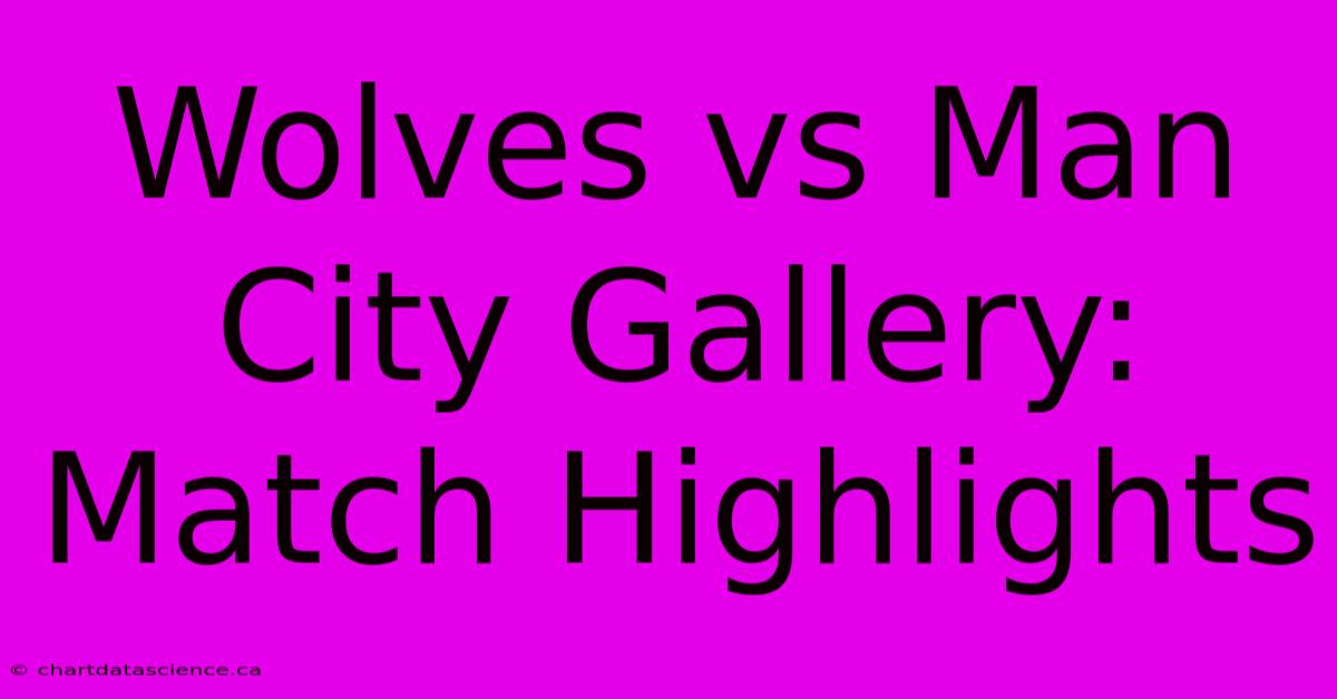 Wolves Vs Man City Gallery: Match Highlights