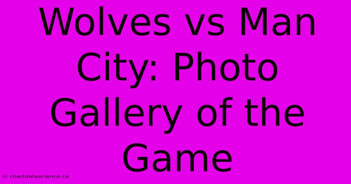 Wolves Vs Man City: Photo Gallery Of The Game