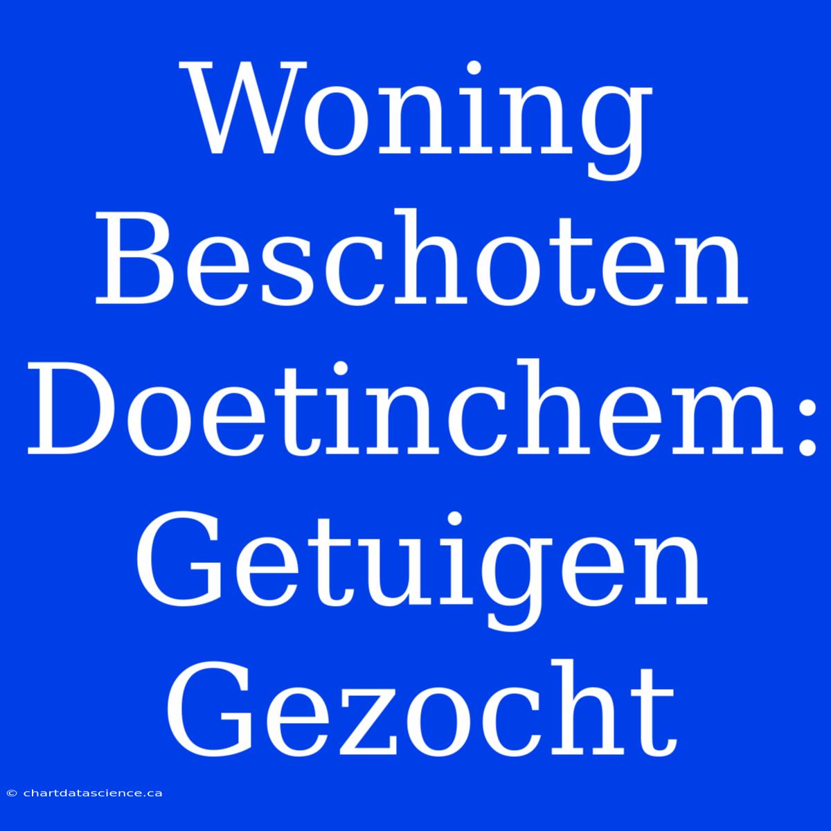 Woning Beschoten Doetinchem: Getuigen Gezocht