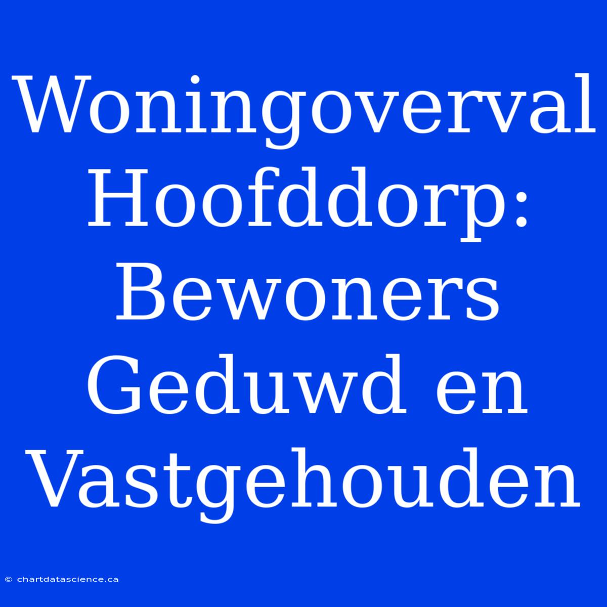 Woningoverval Hoofddorp: Bewoners Geduwd En Vastgehouden